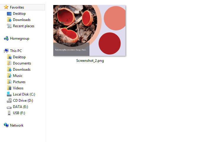 Screenshot image in PNG format Screenshot image