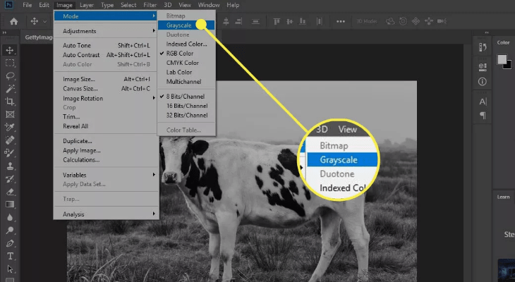 Grayscale image in Photoshop Grayscale image in Photoshop